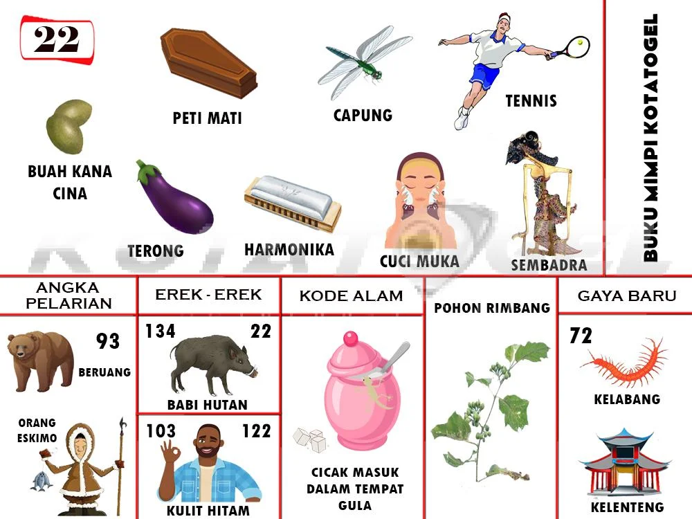 buku mimpi erek erek togel 22